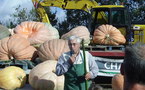 La Mothe Achard: concours national du plus gros potiron et fête de la citrouille le 5 octobre