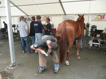 Aubigny: concours national de maréchalerie les samedi 8 et dimanche 9 août 