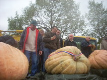 La Mothe-Achard: fête de la citrouille au Potager extraordinaire le dimanche 4 octobre à 10h30