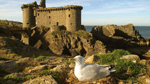 Saint-André-Treize-Voies: projection du film Vendée Sauvage le mercredi 14 octobre à 19h00 et 21h00