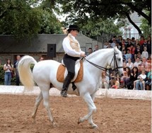 La Roche-sur-Yon: "Calvalcades fait son cinéma" avec le Haras du 23 au 26 juin de 22h00 à 0h00