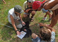 Nesmy: sorties Observation: "La nature s'invite au château" mercredi 7 juillet à 16h30