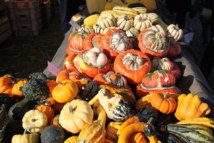 Olonne-sur-Mer: marché paysan et artisan à la ferme de la Goulpière dimanche 28 octobre de 10h00 à 20h00