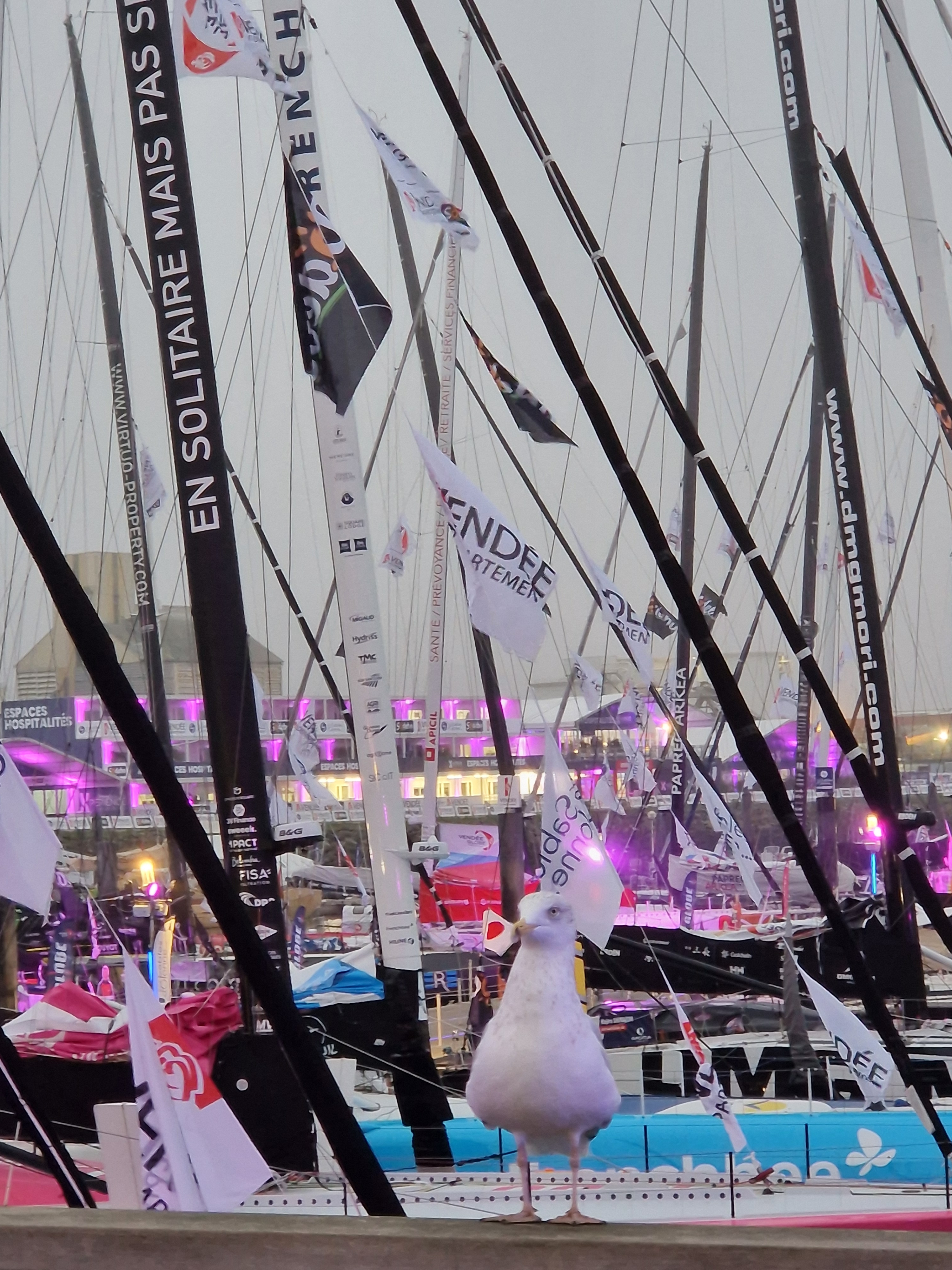 Louis Burton (Bureau Vallée )  contraint d'abandonner le Vendée Globe