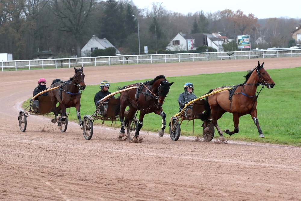 Tout savoir sur le trot avant le prix de Cornulier et le prix d'Amérique  