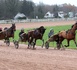 Tout savoir sur le trot avant le prix de Cornulier et le prix d'Amérique  