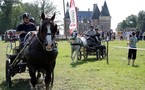 La fête du cheval 2010 à Moutiers les Mauxfaits