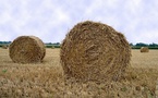 Comité sécheresse du 8 juin 2011: maintien des mesures de restrictions en vigueur concernant les usages de l'eau en Vendée