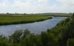 Création de la réserve naturelle nationale de la Casse de la Belle Henriette en Vendée