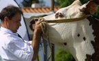 Il était une fois, La Foire ...des Minées à Challans du 9 au 13 septembre