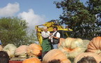 Fête de la Citrouille et Concours National du plus gros Potiron le dimanche 2 octobre de 10h00 à 19h00 à la Mothe-Achard