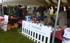 "BRIC, BROC et TROC JARDIN ..." samedi 21 avril dans le Parc du château des Oudairies à la Roche-sur-Yon