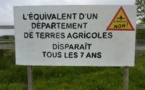 Notre-Dame-des-Landes : la moitié des Français opposés à l'aéroport  